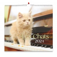CAL.GBK 2024  Nos amis les chats GF