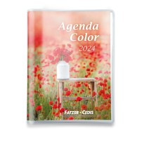 Agenda Color 2024