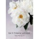 MINI CARTE Fleurs blanches sur fond gris