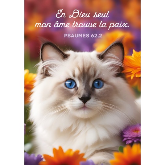 Mini-carte Chat dans un champ de fleurs colorées