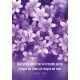 Mini-carte Petites fleurs violettes