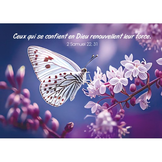 Carte Avec Verset Papillon et fleurs blanches et violettes