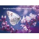 Carte Avec Verset Papillon et fleurs blanches et violettes
