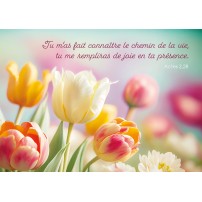 Carte Avec Verset Tulipes multicolores