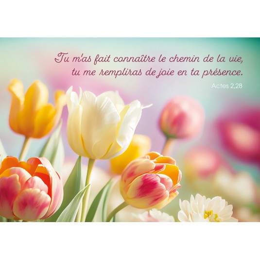 Carte avec verset Tulipes multicolores