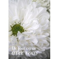 Carte Avec Message Fleur blanche en gros plan