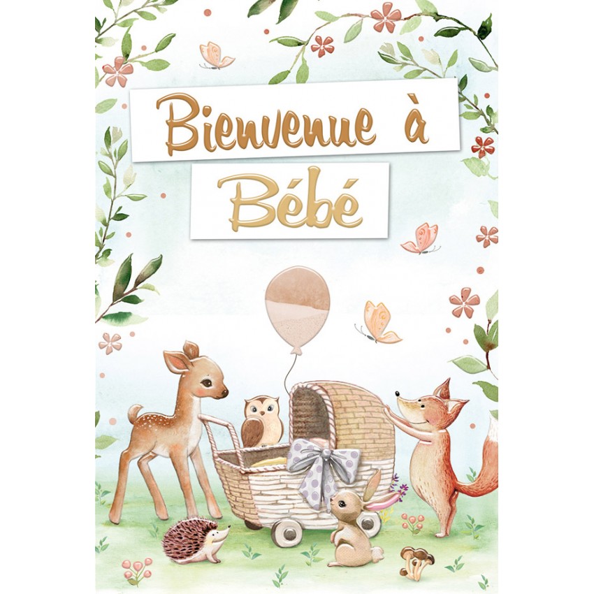 Carnet Div Petits animaux avec landau