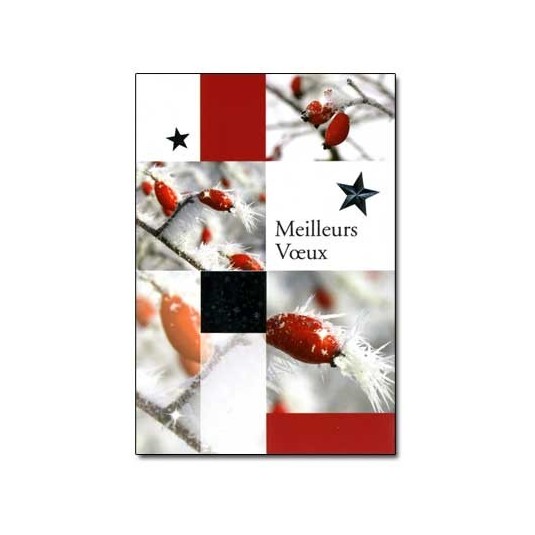 CARTE DOUBLE Meilleurs V&oelig;ux Baies rouge givr&eacute;es Flocons