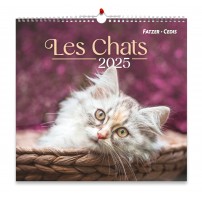 CAL.GBK 2025  Nos amis les chats GF