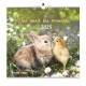 CAL. 2025 Nos amis les animaux