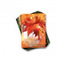 LOT FIN SERIE :10  cartes  postales avec verset variées