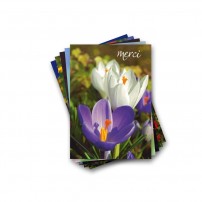 LOT FIN SERIE :10 cartes postales voeux variés(flash)