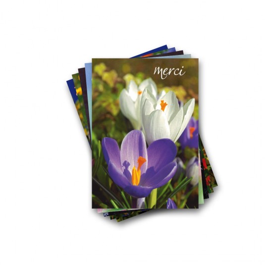LOT FIN SERIE :10 cartes postales vœux variés (flash)