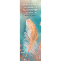 Signet Plume orange sur fond bleu