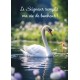 Carte Avec Verset Cygne sur l'eau entouré de fleurs