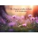 Carte Avec Verset Fleurs roses dans un sous-bois