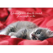 Carte Avec Verset Chaton couché sur une couverture rouge