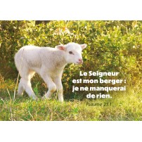 Carte Avec Verset Jeune mouton marchant dans l'herbe