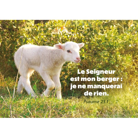 Carte avec verset Jeune mouton marchant dans l'herbe