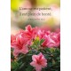Buisson de fleurs roses