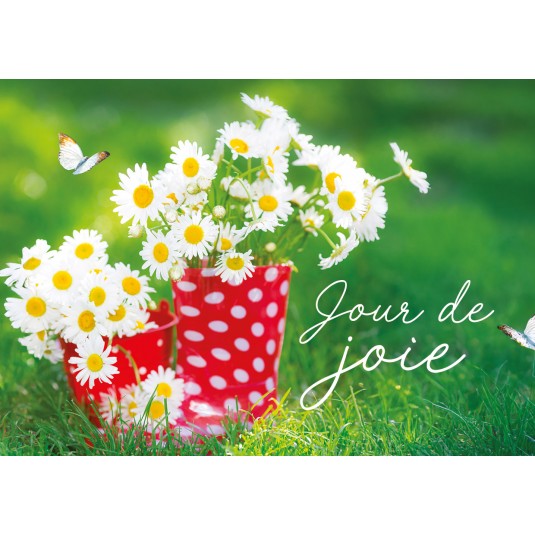 Fleurs blanches dans des seaux rouge sur l'herbe