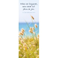 Signet Pampas au bord de l'océan