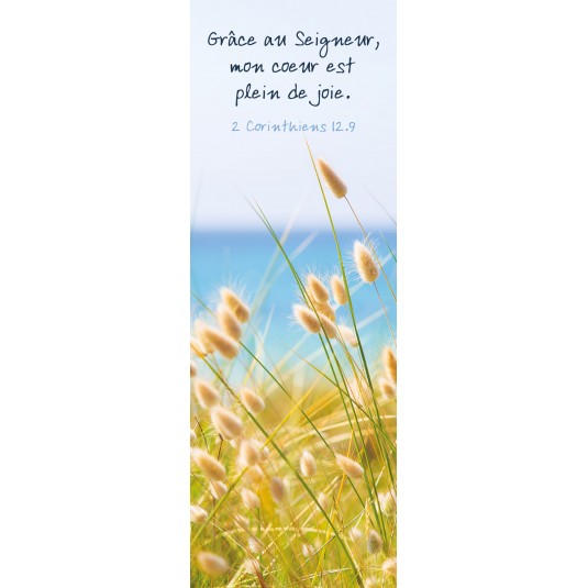 Signet Pampas au bord de l'océan