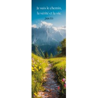 Signet Chemin dans la montagne en été