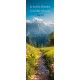 Signet Chemin dans la montagne en été