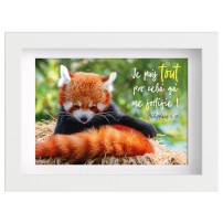 Mon cadre inspiration - panda roux
