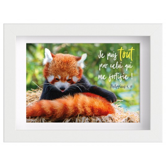 Mon cadre inspiration - panda roux