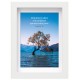Mon cadre inspiration - arbre au milieu d'un lac
