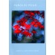 Carte Double Paroles pour.. retrouver confiance