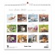 CAL. GBK 2026  Nos amis les chats GF