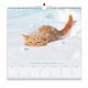 CAL. GBK 2026  Nos amis les chats GF