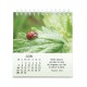 CAL. 2026 Nature en paix