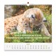 CAL. 2026 Nos amis les animaux