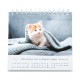 CAL. GBK 2026 Nos amis les chats PF