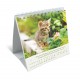 CAL. GBK 2026 Nos amis les chats PF