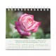 CAL. GBK 2026 Roses Petit Format