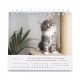 CAL. GBK 2026 Nos amis les chats PF