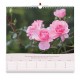 CAL. GBK 2026 Roses Grand format