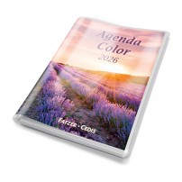Agenda Color 2026