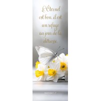 Signet Papillon posé sur des fleurs blanches et jaunes