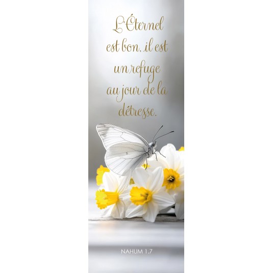Signet Papillon posé sur des fleurs blanches et jaunes