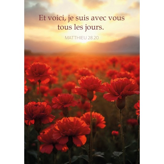 Mini-carte Champ d'œillets rouges au lever du soleil