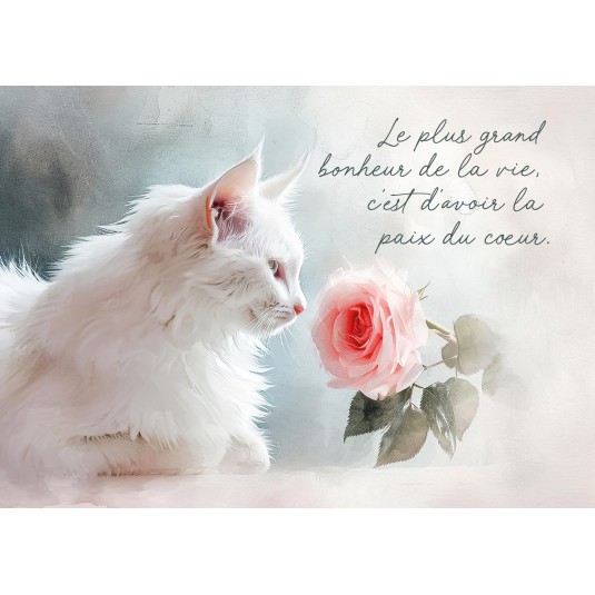 Carte Citation Chat blanc et rose