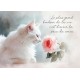 Carte Citation Chat blanc et rose