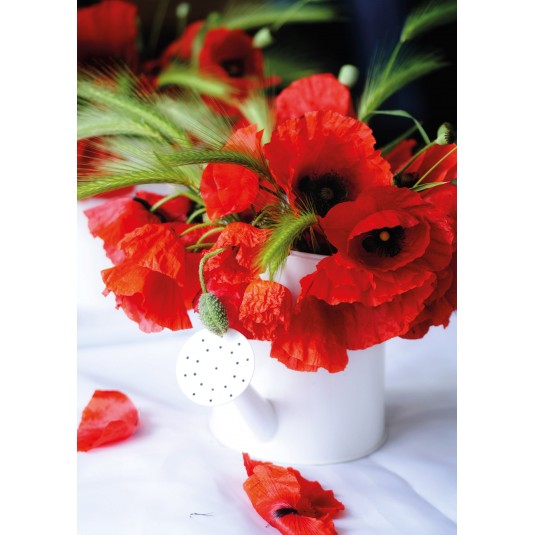 Carte Sans Texte Coquelicots dans un arrosoir sur une table