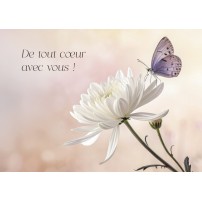 Carte Avec Message Papillon posé sur une fleur blanche